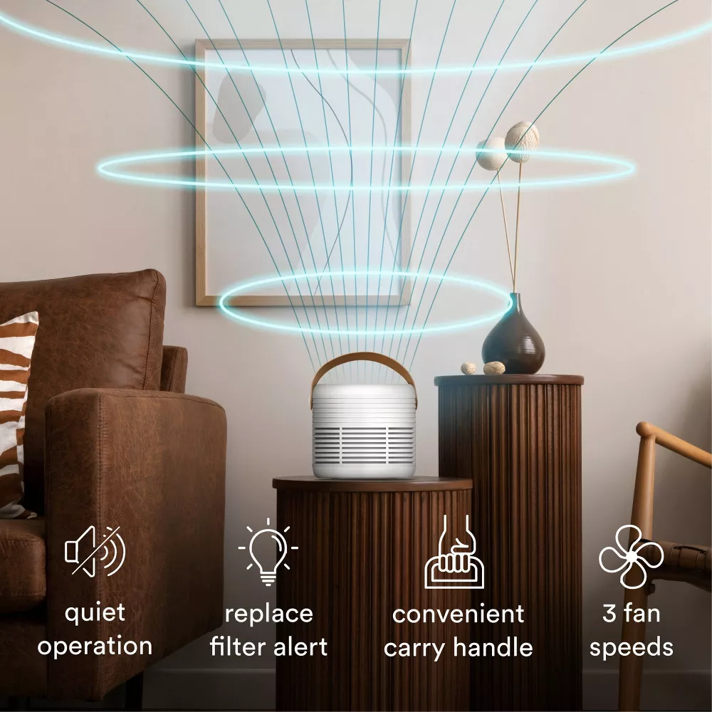 Portable True Air Purifier with Aromatherapy Function